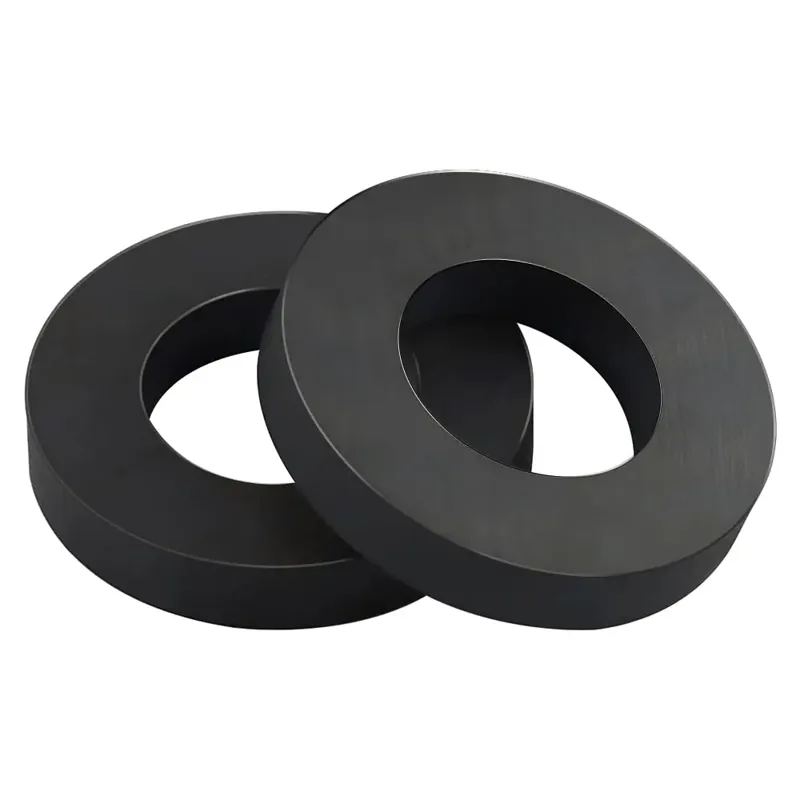 Science And Hobby - D45-100mm Ferrite Ring Magnet , Heavy