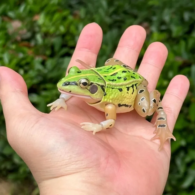 Science Nature - BANDAI Official Realistic Black-Spotted Frog Gashapon