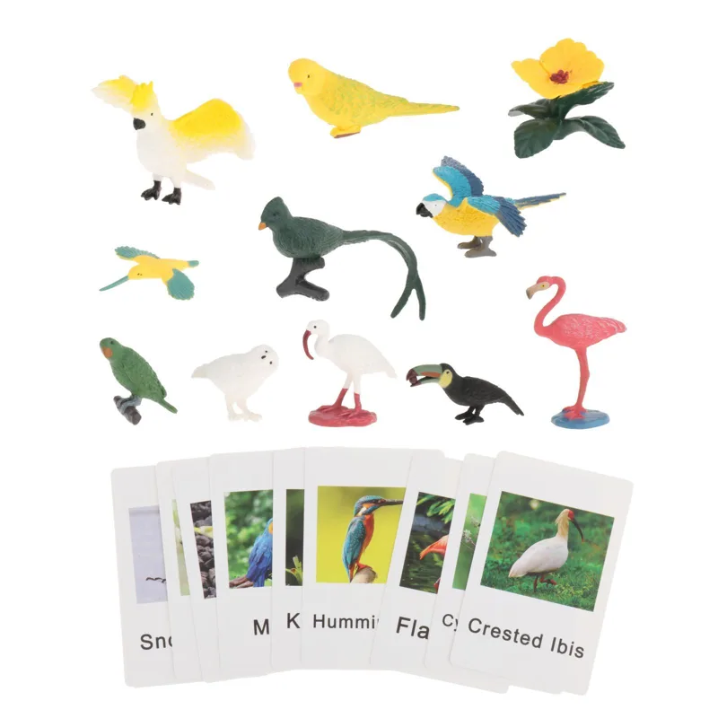 Montessori Animal Figures with - Science Nature recension och pris