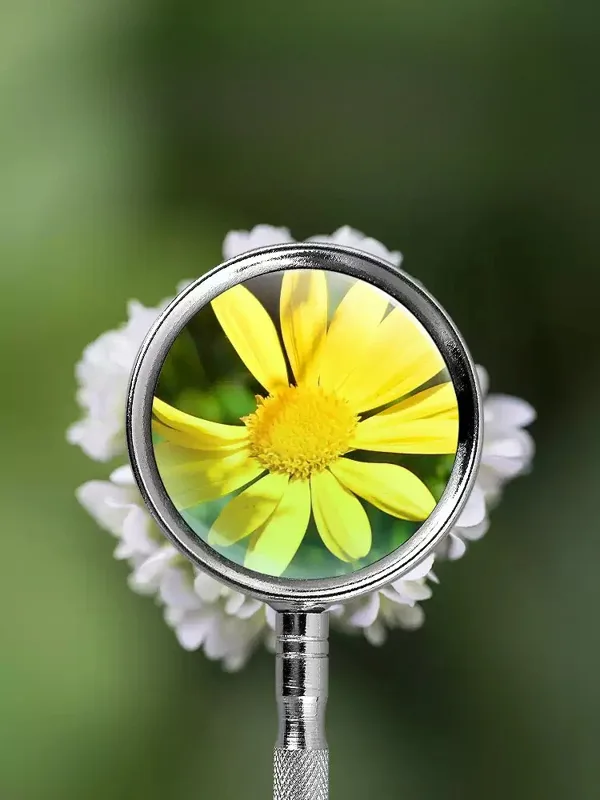 10X 20X Handheld Magnifying Gl - Science And Hobby recension och pris