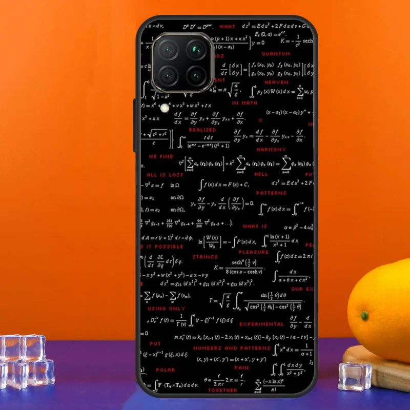E mc2 Formula Math Funny  Scie - Science Nova recension och pris