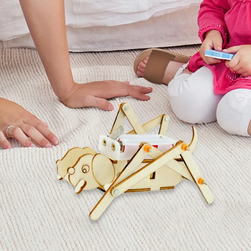DIY Wooden Model Set Science K - Science Project Toys Making recension och pris