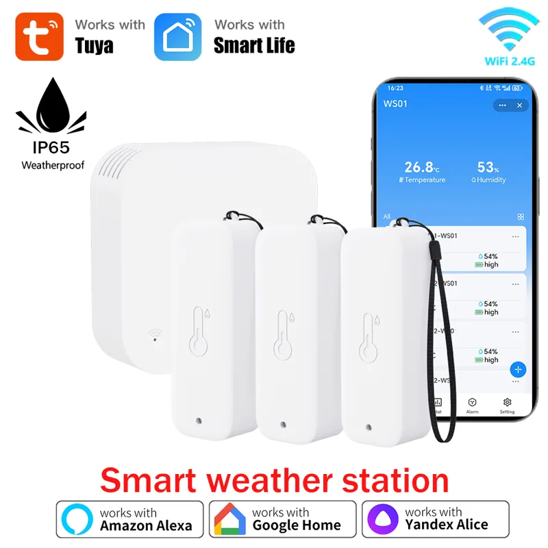 Tuya WIFI Smart Weather Statio - Weather Station Indoor recension och pris